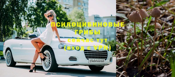 apvp Арсеньев