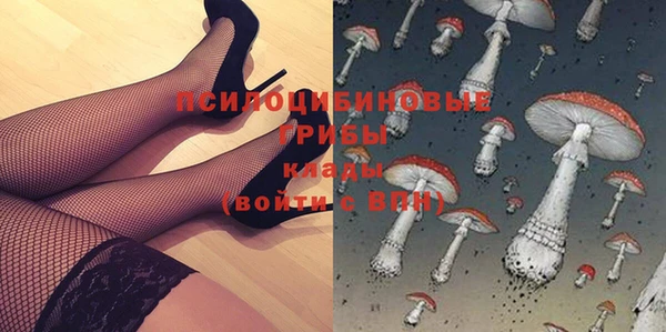 таблы Алексин